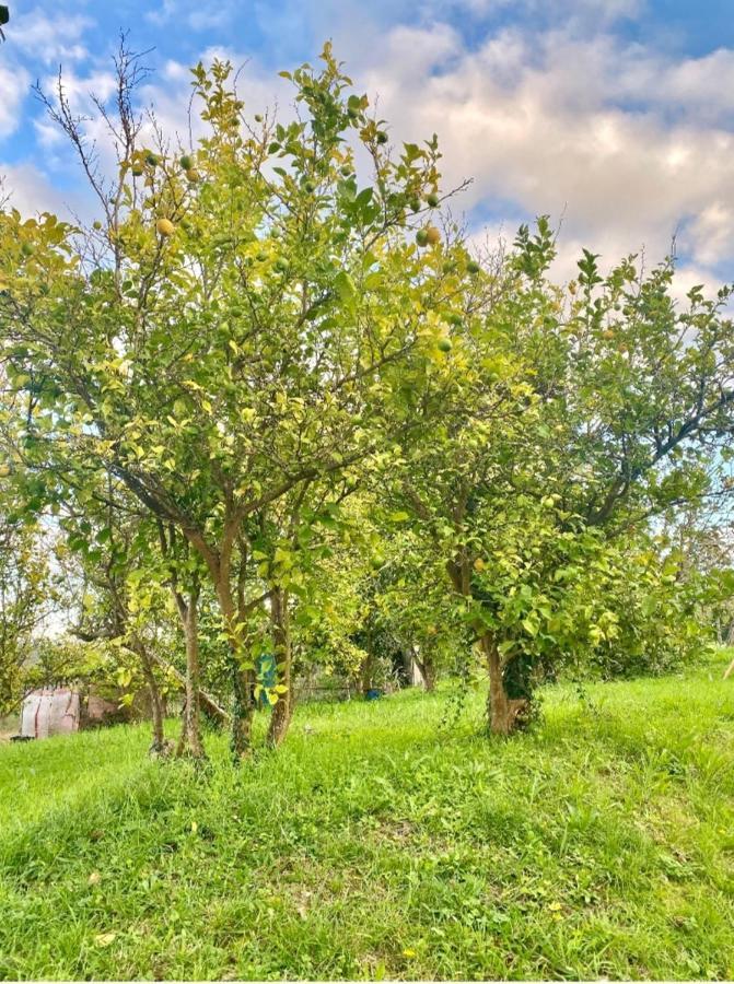 Villa Casa Outeiro Betanzos Esterno foto